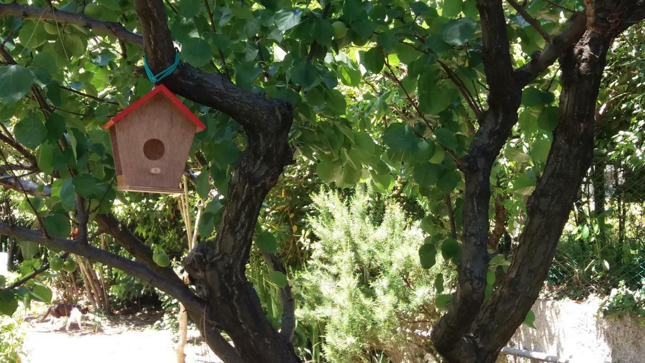 Affittacamere Tory Sirolo Εξωτερικό φωτογραφία