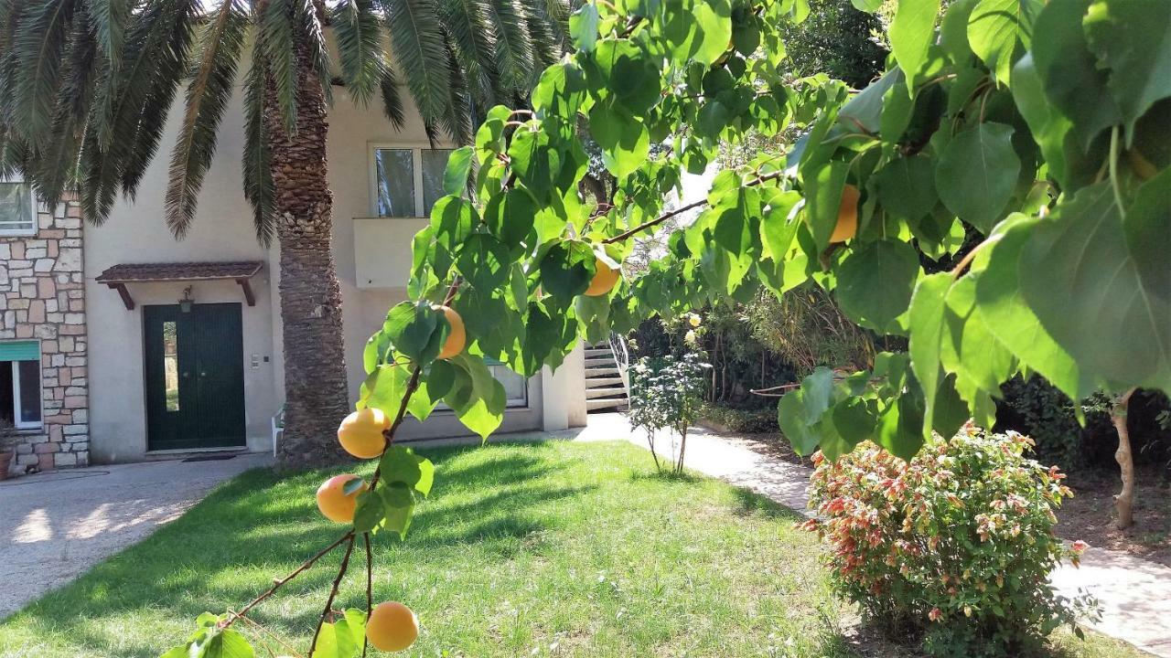 Affittacamere Tory Sirolo Εξωτερικό φωτογραφία